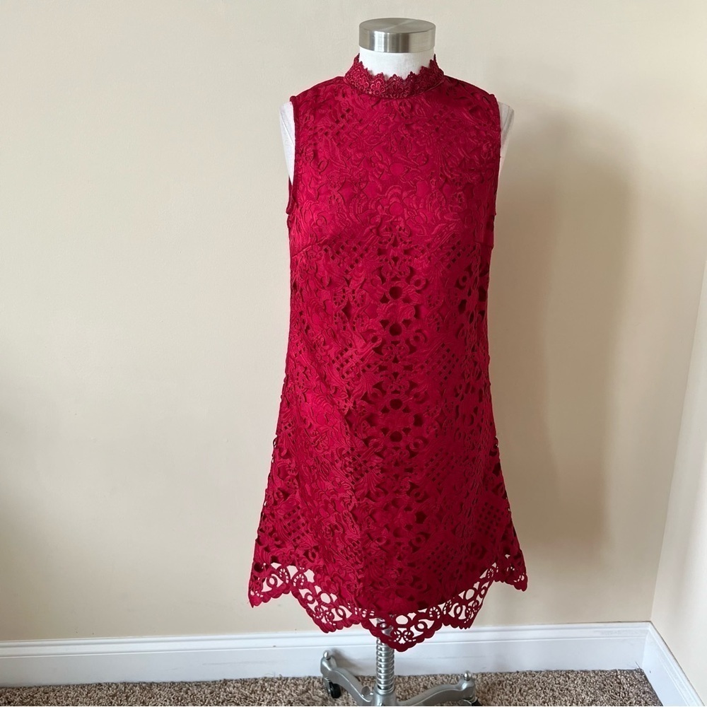 Chi Chi London lace shift dress 13470 - Picture 3 of 11